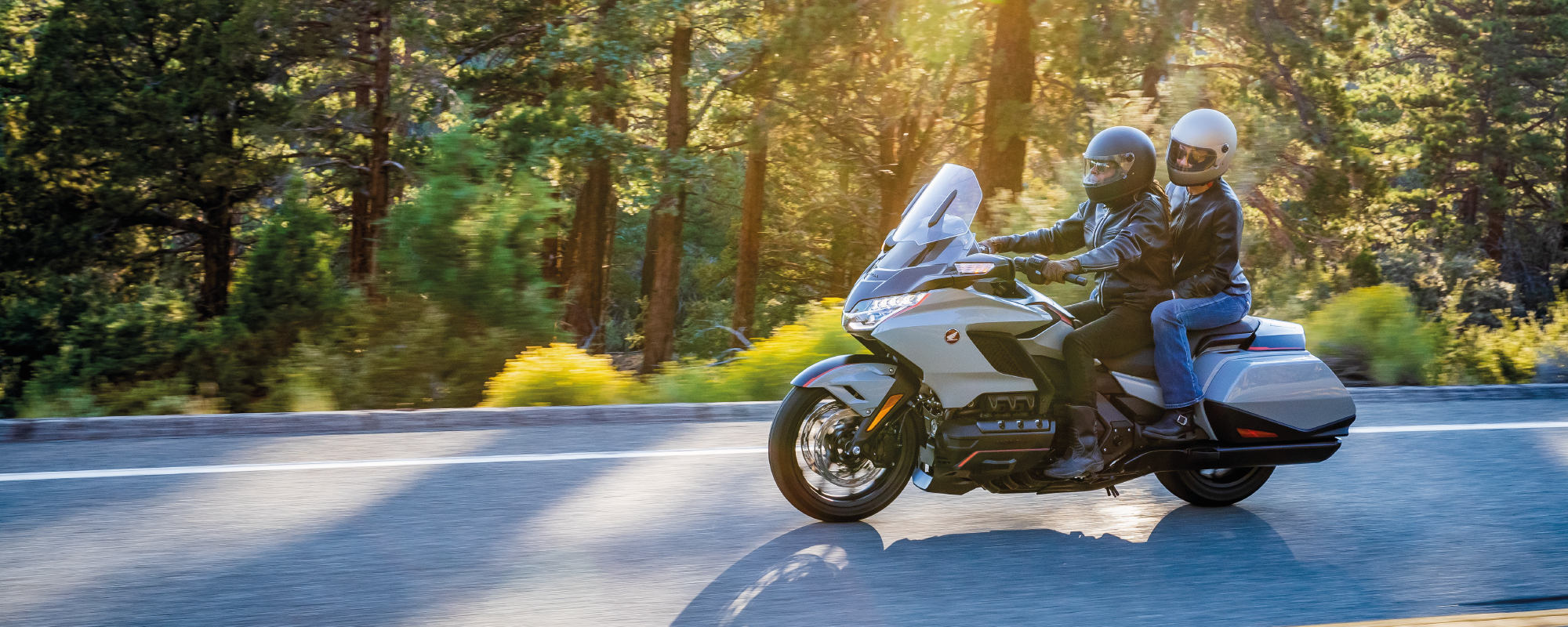 goldwing-bagger-desk-header-07